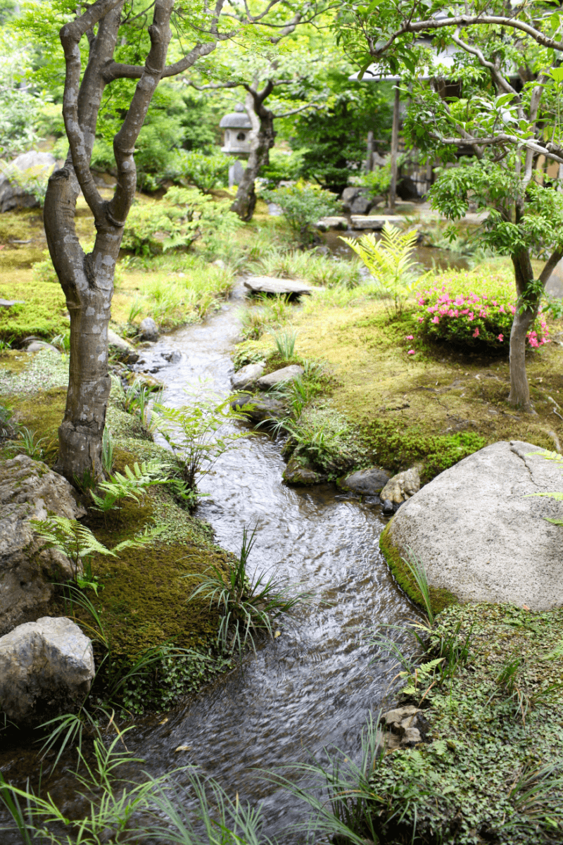 image - flowing water trickle by keren fedida unsplash