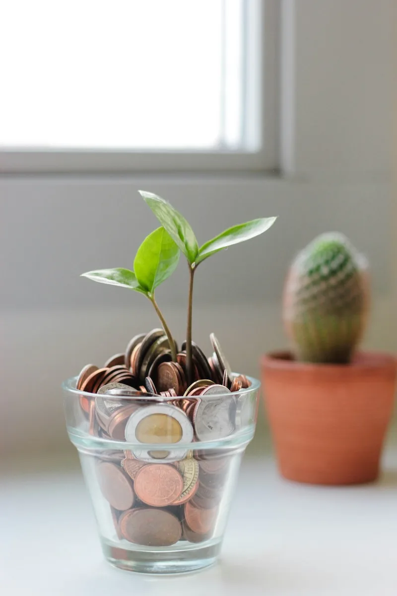 image - money tree by micheile-henderson-pLnaCZiwpIk-unsplash